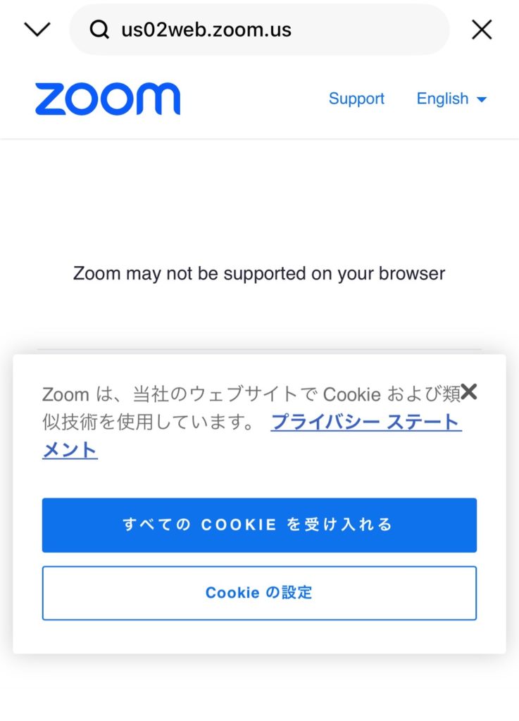 zoom may not be supported on your browser